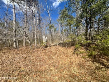 0 Divide Tr, Monterey, TN 38574