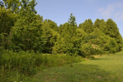 0 Doc Hannah, Maryville, TN 37803