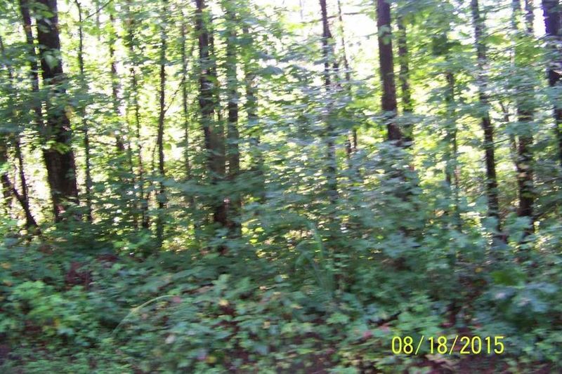 0 Doc Miller Rd, Madisonville, TN 37354