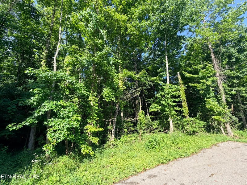 0 Dogwood Ave, Oneida, TN 37841