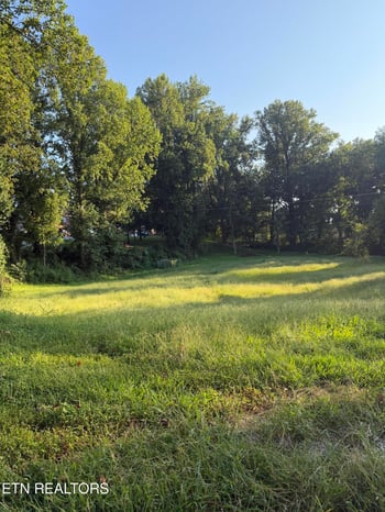 0 Dogwood Ln #24006138, Jacksboro, TN 37757