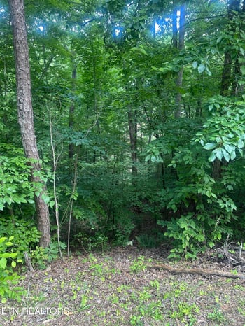 0 Dogwood Tr, Maynardville, TN 37807