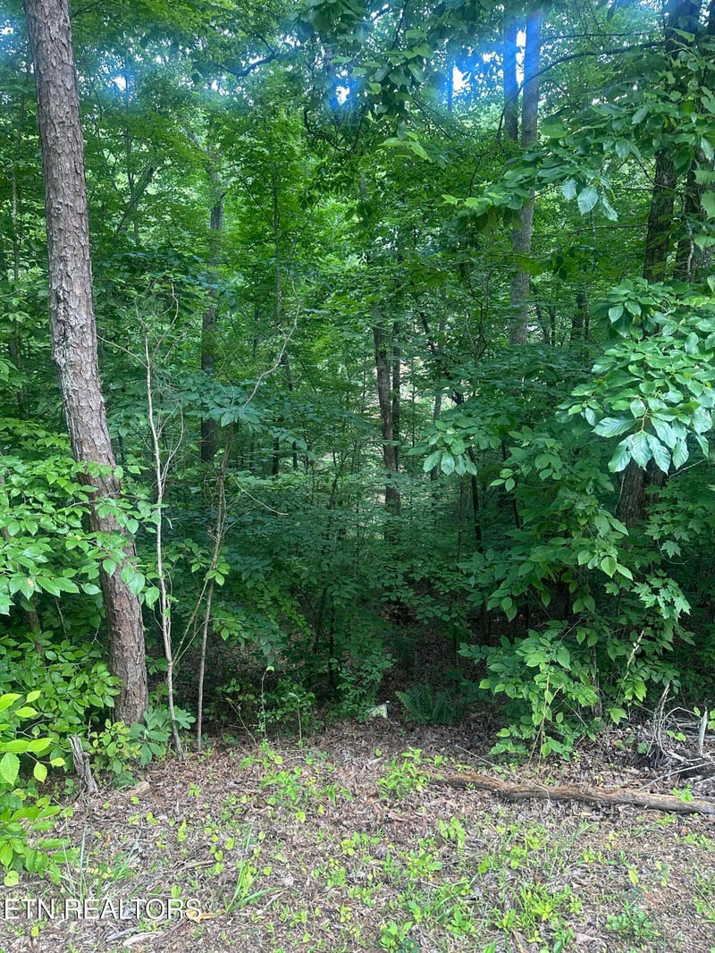 0 Dogwood Tr, Maynardville, TN 37807