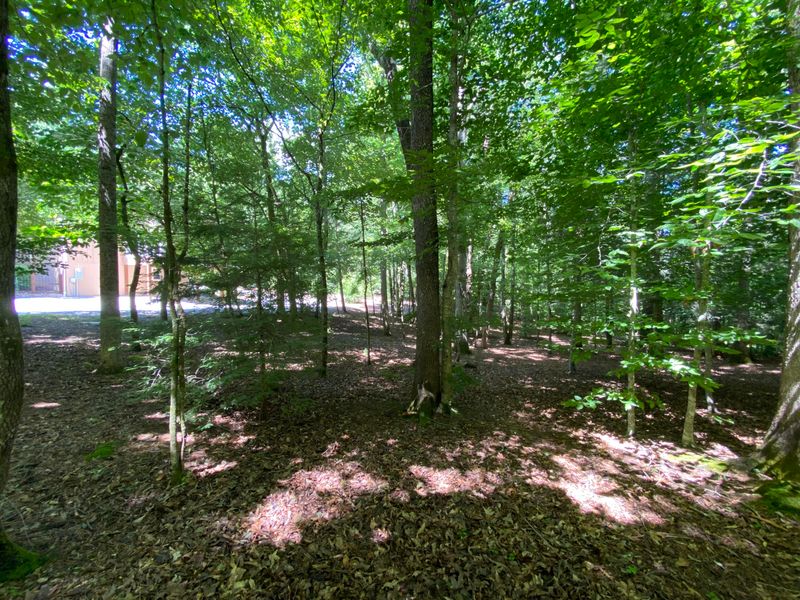 0 Domar Dr, Townsend, TN 37882