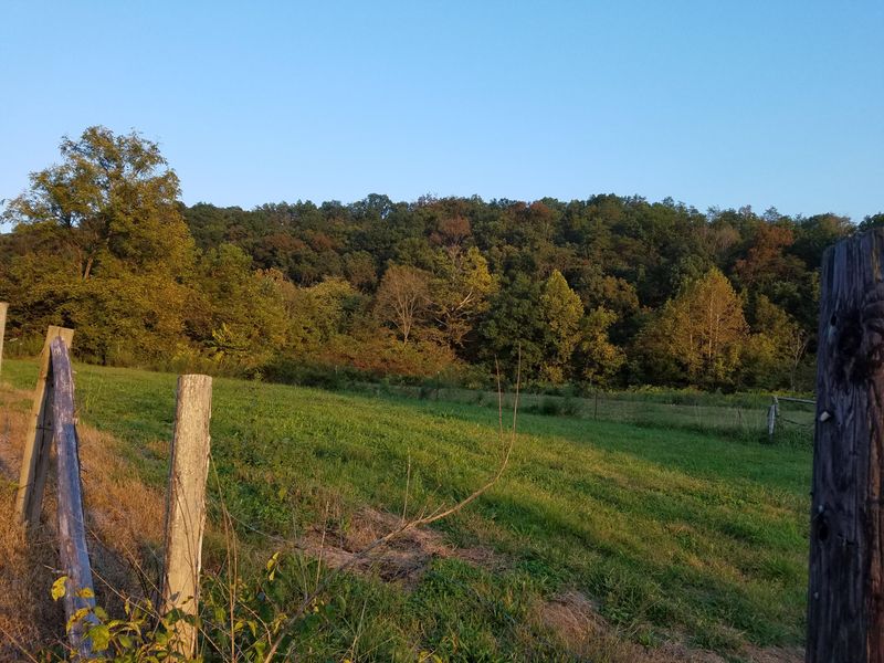 0 Donahue Rd, Luttrell, TN 37779