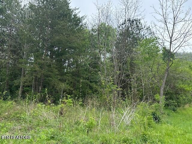 0 Douglas Ln, Jellico, TN 37762