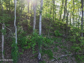 0 Dove View Rd Lot 13, Sevierville, TN 37862