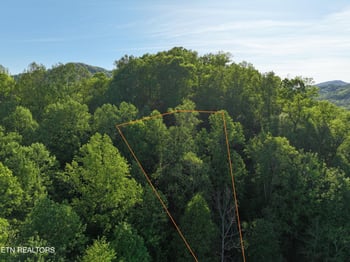0 Dove View Rd Lot 13, Sevierville, TN 37862