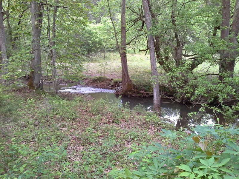 0 Dr Davis Rd, Sharps Chapel, TN 37866