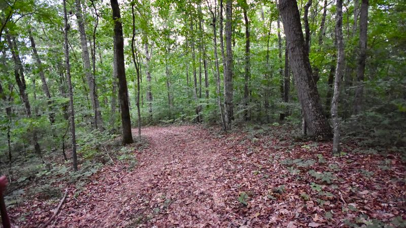 0 Dream Way, Sevierville, TN 37876