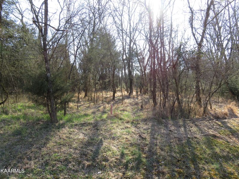 0 Dudi Trl, Vonore, TN 37885