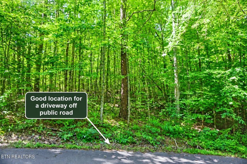 0 Dudley Dr, Sevierville, TN 37876