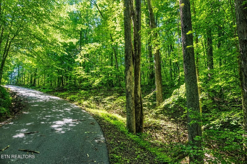 0 Dudley Dr, Sevierville, TN 37876