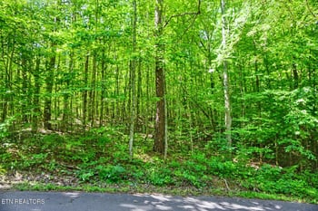 0 Dudley Dr, Sevierville, TN 37876