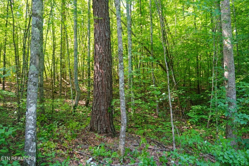 0 Dudley Dr, Sevierville, TN 37876