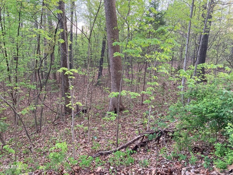 0 Duke Ln, Luttrell, TN 37779