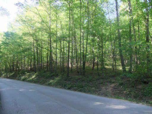 0 Duncan Hollow Rd, Harriman, TN 37748