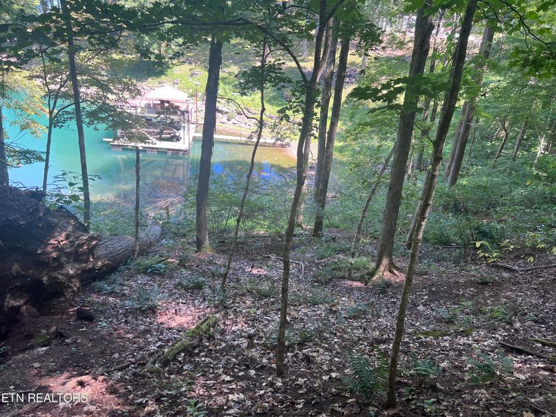 0 Duncan Ln, Andersonville, TN 37705