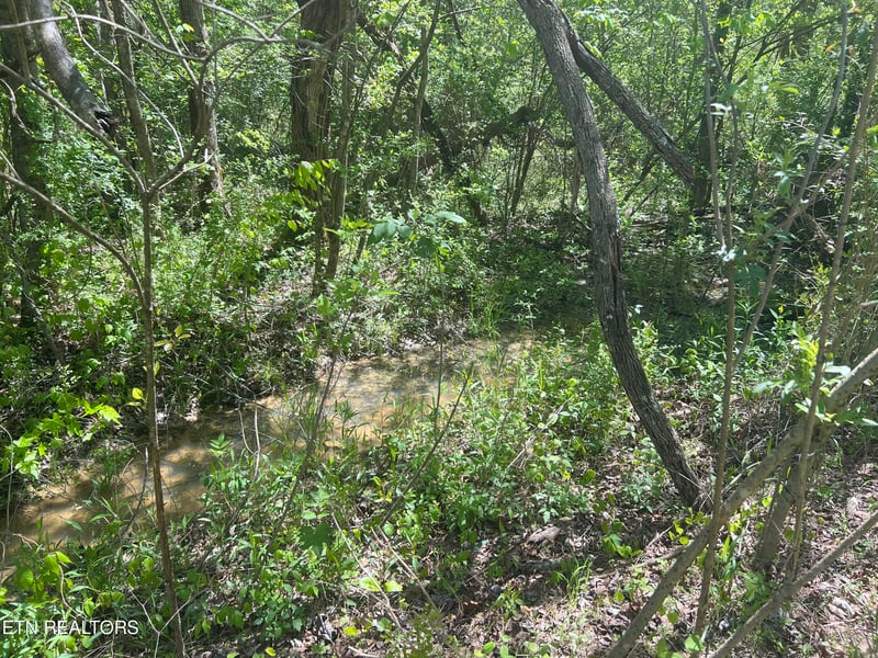 0 Dunn Rd, Tellico Plains, TN 37385