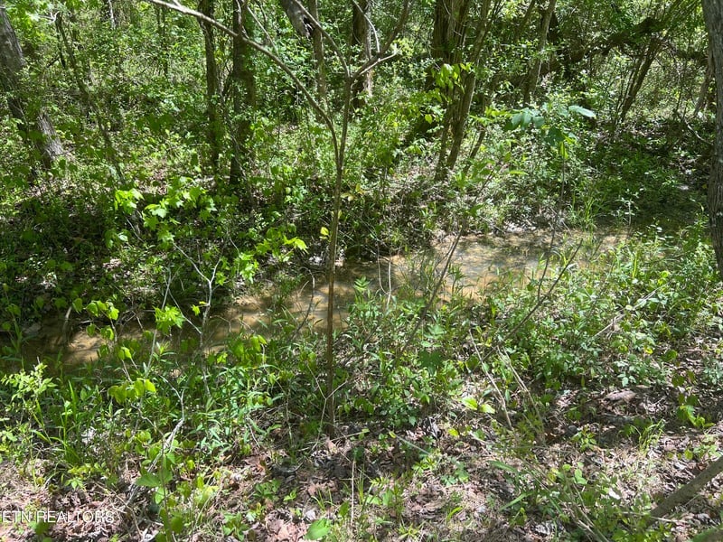 0 Dunn Rd, Tellico Plains, TN 37385