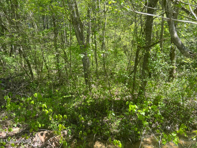 0 Dunn Rd, Tellico Plains, TN 37385