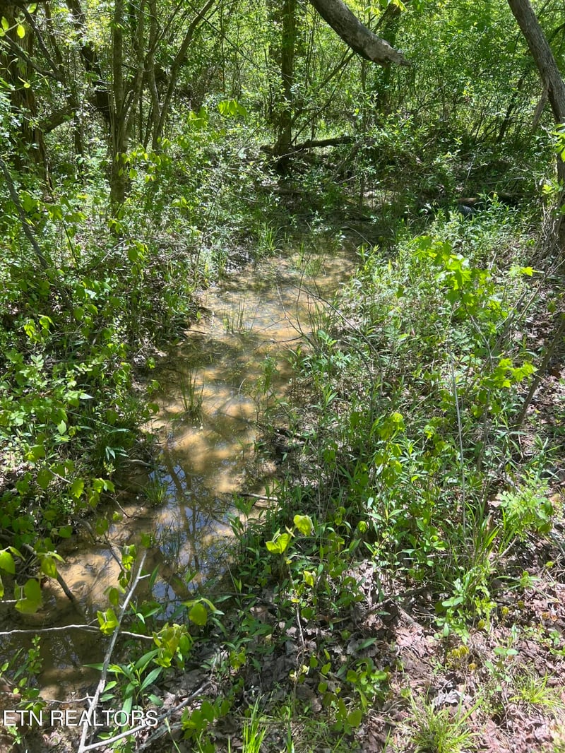 0 Dunn Rd, Tellico Plains, TN 37385