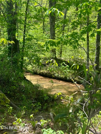 0 Dunn Rd, Tellico Plains, TN 37385