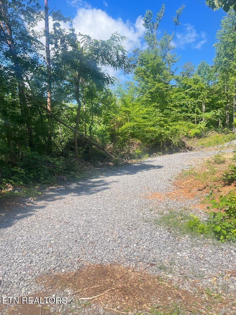 0 Dunville Gap Rd, Rutledge, TN 37861