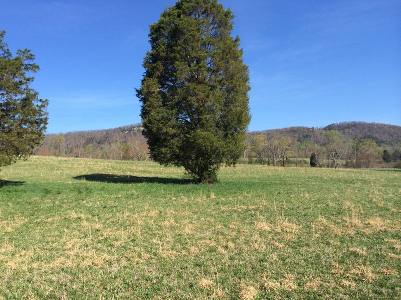 0 Dutch Valley, Clinton, TN 37716