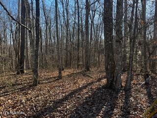 0 E Cove Rd, Monterey, TN 38574
