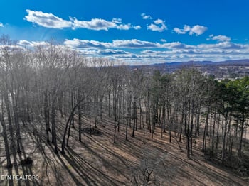 0 E Crestview Drive Lot 1, Madisonville, TN 37354