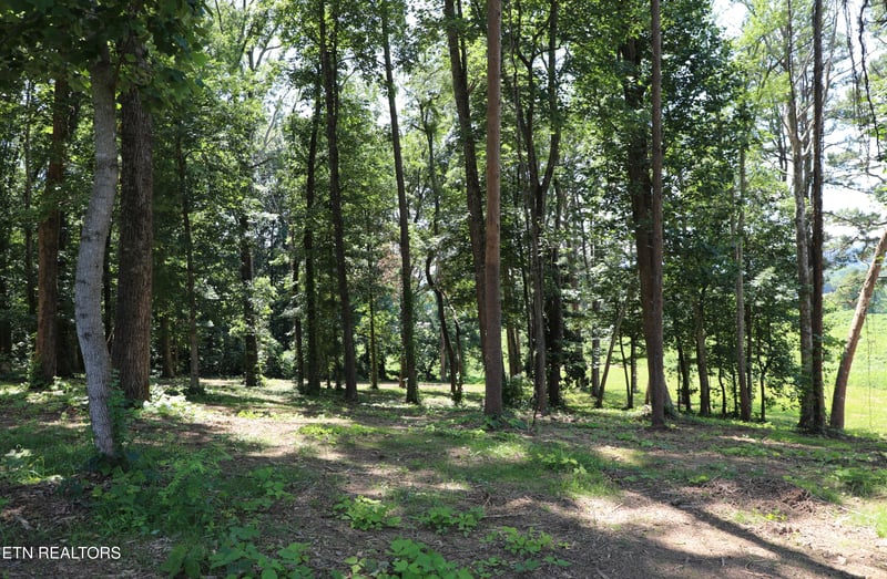 0 E Crestview Drive Lot 1, Madisonville, TN 37354