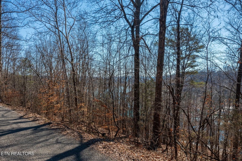 0 E Dogwood Tr, Lafollette, TN 37766