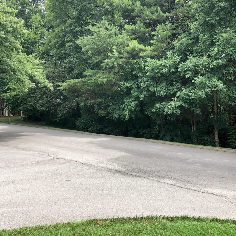 0 E Fox Den Dr, Knoxville, TN 37934