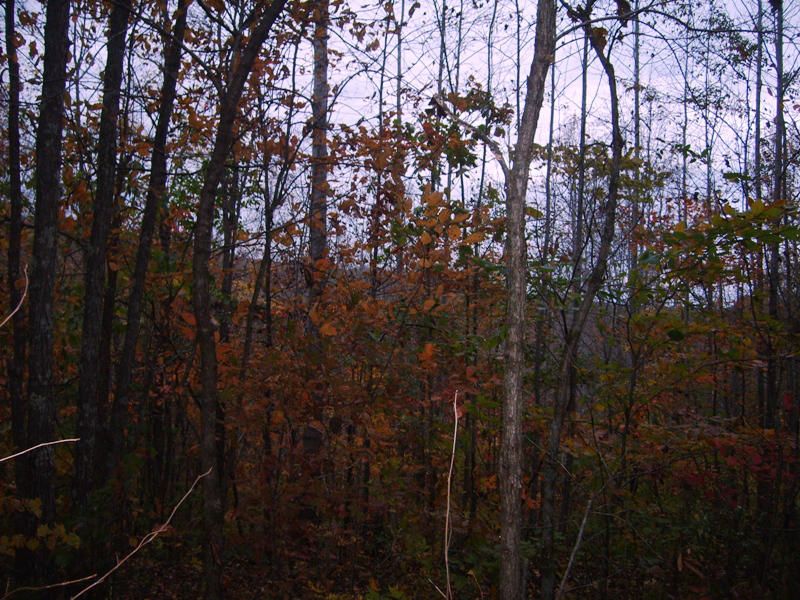 0 E Hwy 39, Englewood, TN 37329