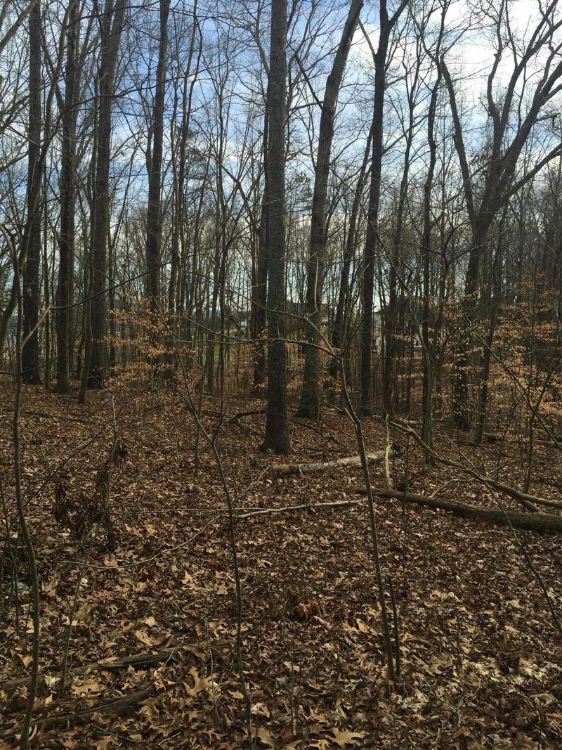 0 E Lamar Alex Pkwy, Townsend, TN 37882