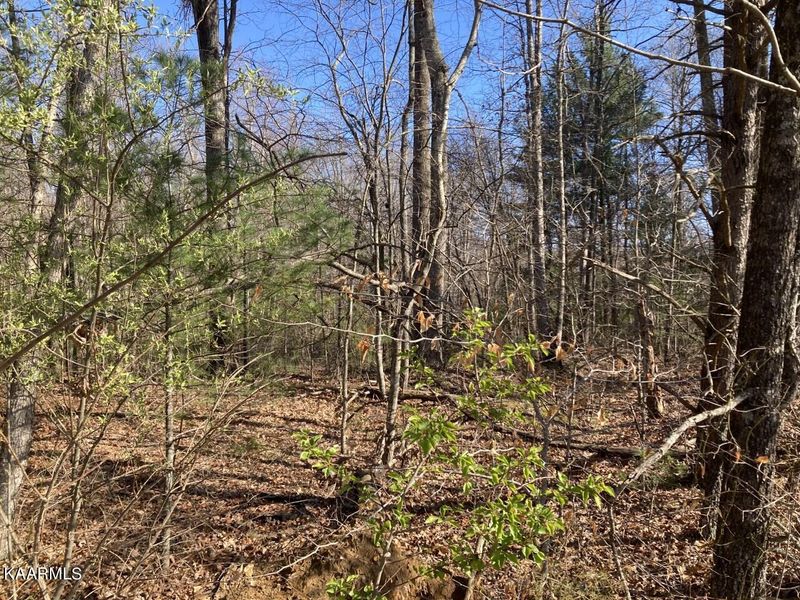 0 E Mayland Rd, Monterey, TN 38574