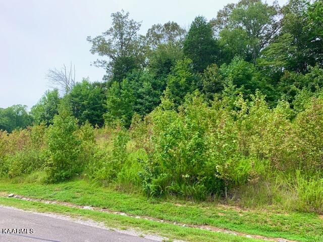 0 E Shore Lot 153, Rockwood, TN 37854