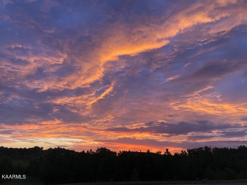 0 E Shore Lot 153, Rockwood, TN 37854