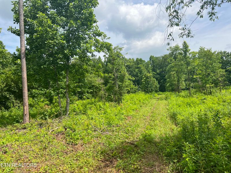 0 E Watkins Rd, Loudon, TN 37774