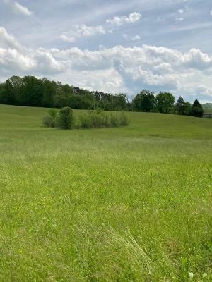 0 E Wolfe Valley Rd, Heiskell, TN 37754