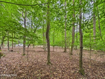 0 Eagle Point Dr, Rockwood, TN 37854