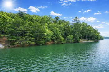 0 Eagle Point Dr, Rockwood, TN 37854