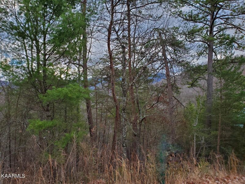 0 Eagle Pointe Way, Pigeon Forge, TN 37863