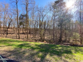 0 Eagle Ridge Dr, Rockwood, TN 37854