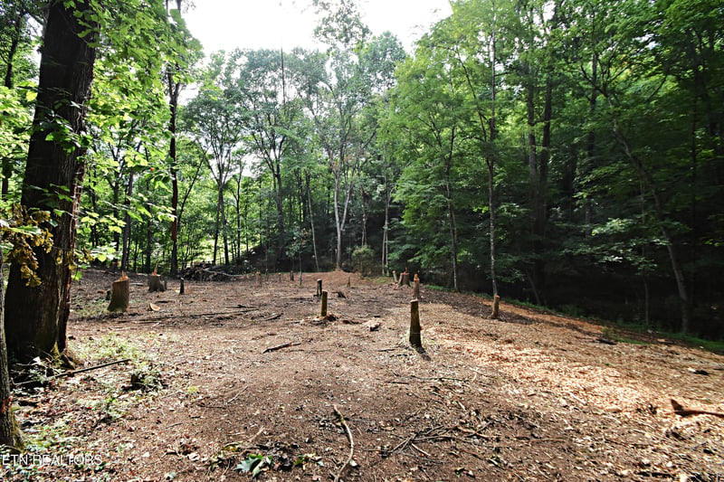 0 Early Rd #2, Knoxville, TN 37922