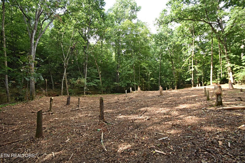 0 Early Rd #2, Knoxville, TN 37922
