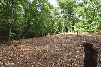 0 Early Rd #2a, Knoxville, TN 37922