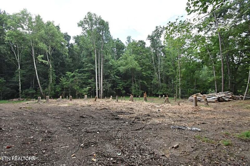 0 Early Rd #2a, Knoxville, TN 37922
