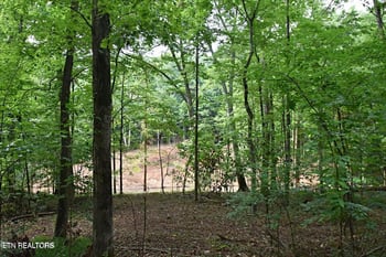 0 Early Rd #3, Knoxville, TN 37922